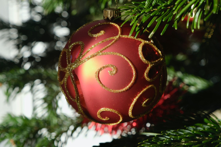 Christmas Photos at a Ranch Wedding Venue in Fort Myers