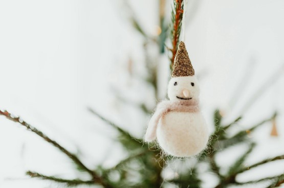 The King of Christmas Trees: Multi-Color Magic